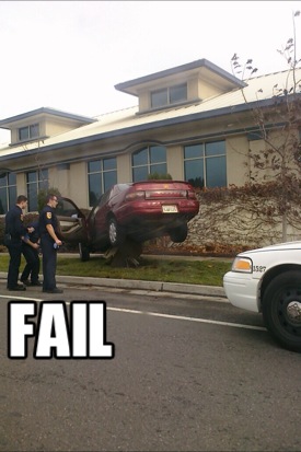 A FAIL picture awaiting your vote