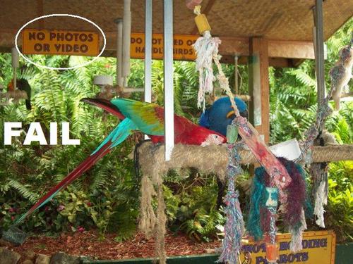 A FAIL picture awaiting your vote
