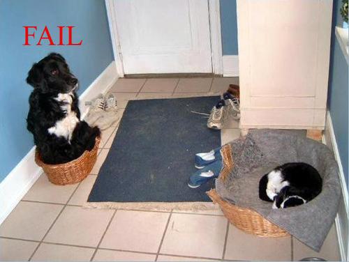 A FAIL picture awaiting your vote