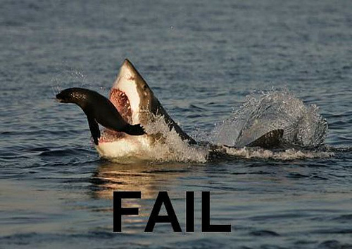 A FAIL picture awaiting your vote
