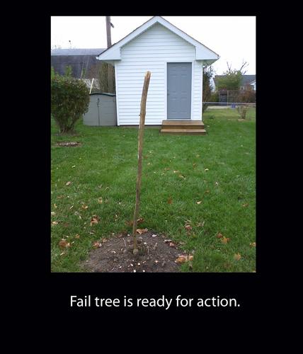 A FAIL picture awaiting your vote